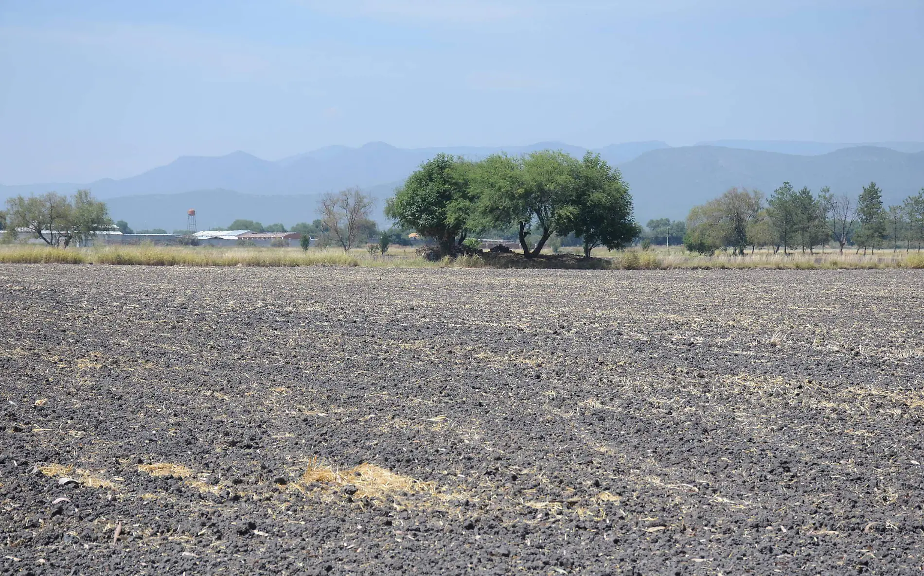 Las tierras est_n a la espera de las primeras lluvias para ser cultivadas.